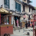 Nepal street dogs lounge in the heat.