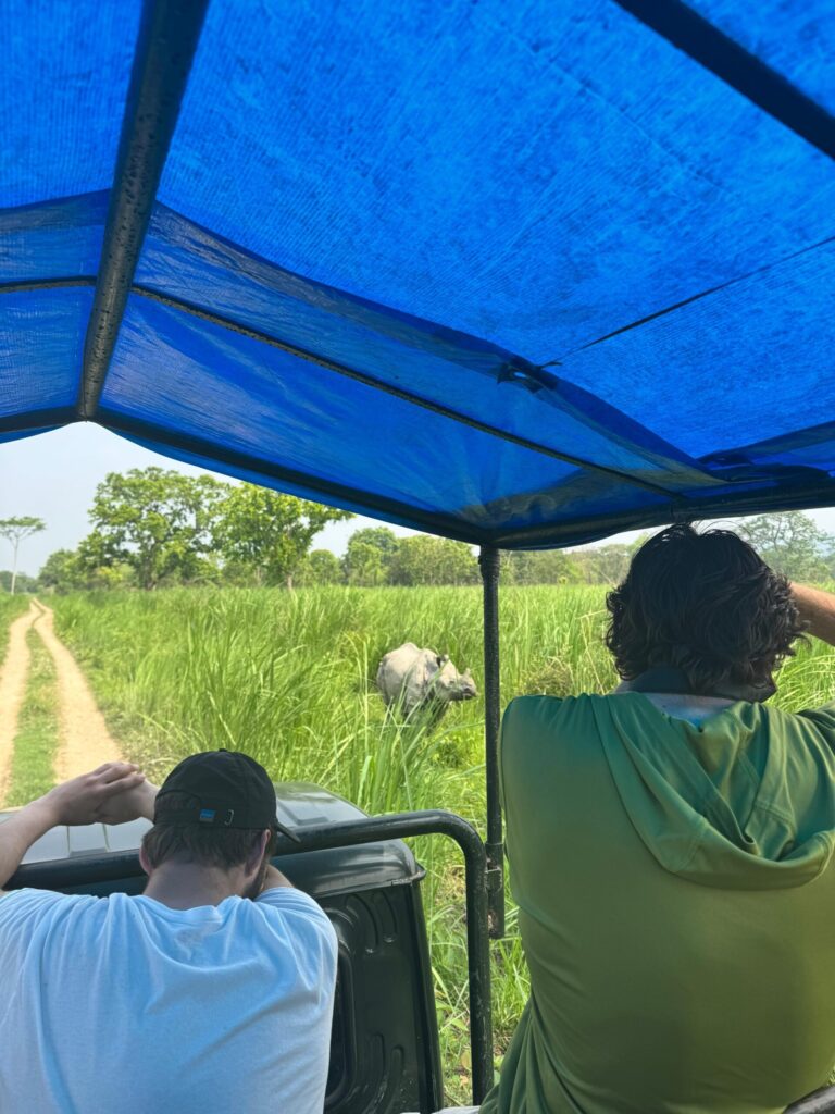 Rhino