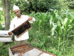 A man near a bee hive