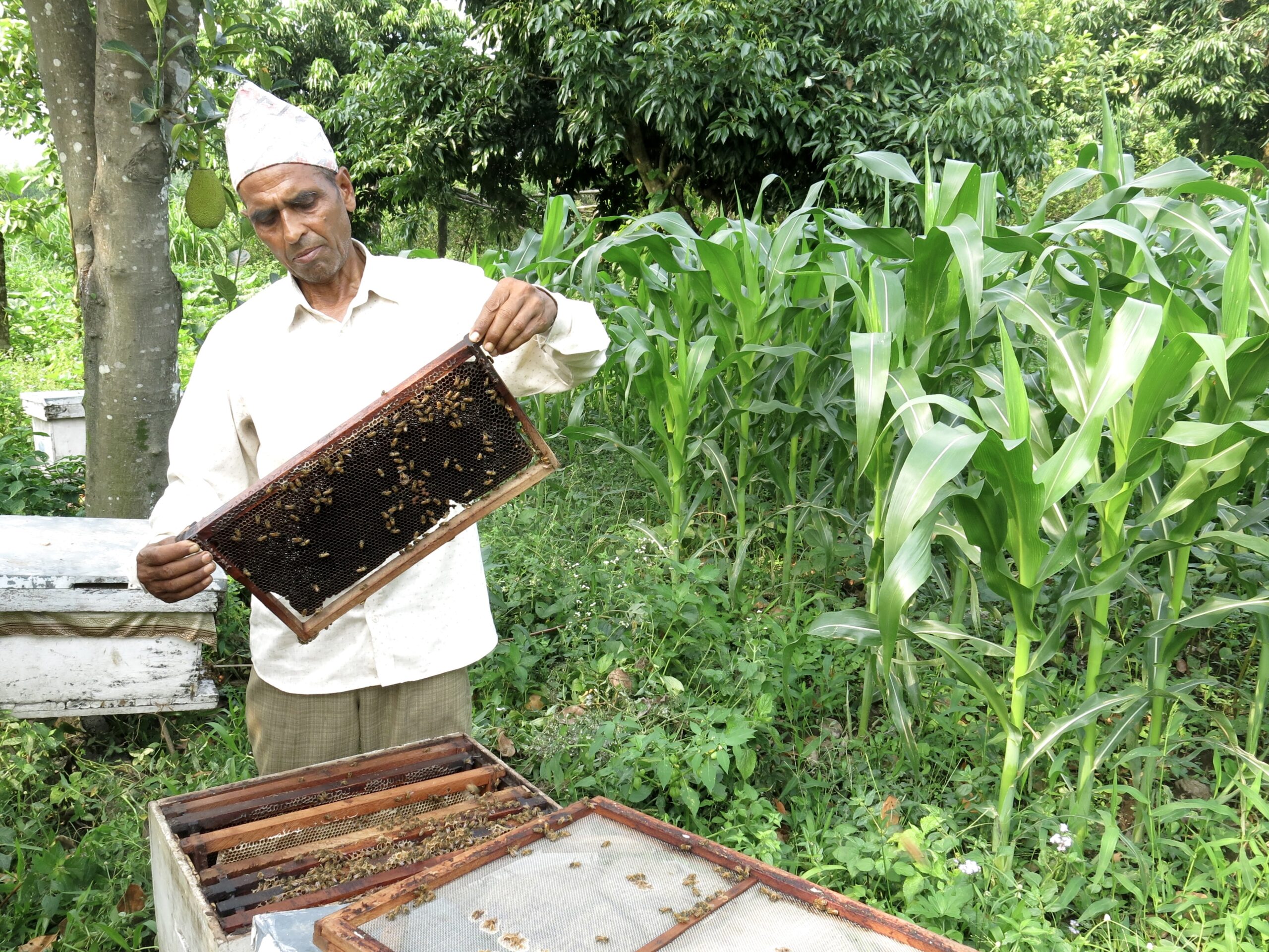 A man near a bee hive