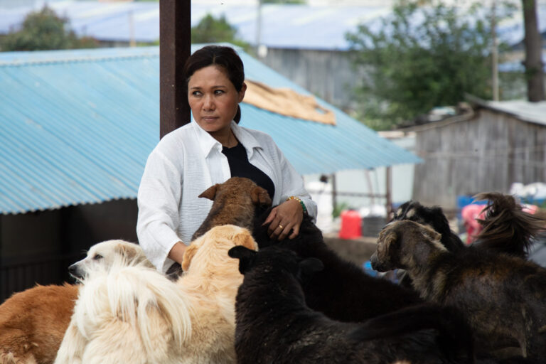 Social media fuel dog management initiatives